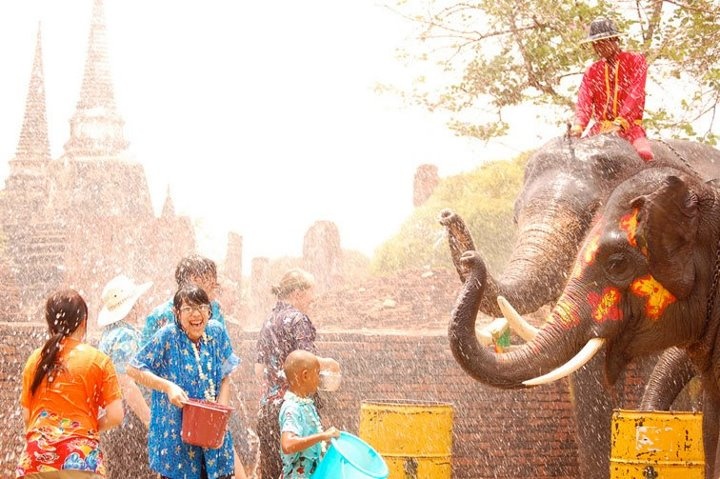 songkran elephant 4