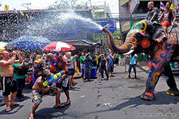 songkran elephant 5