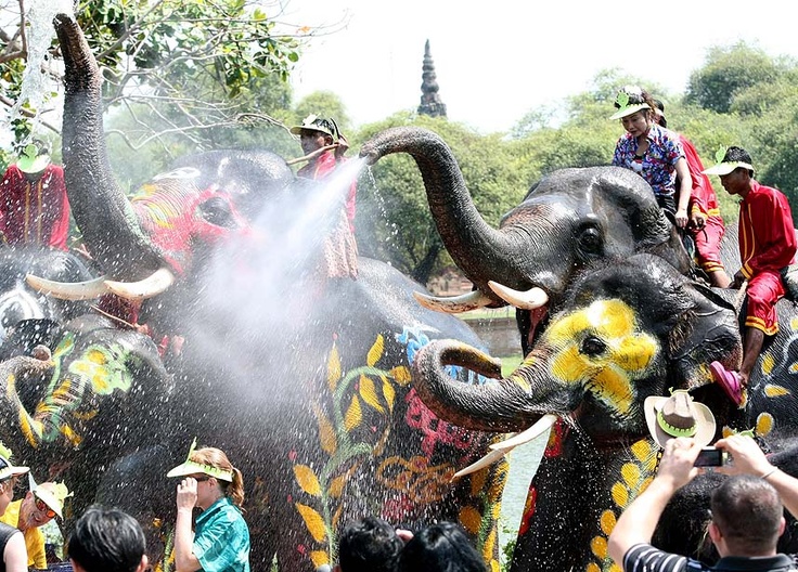 songkran elephant 2